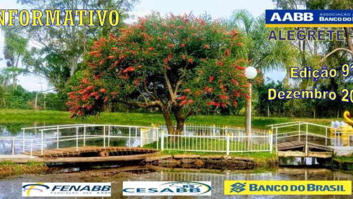 Informativo nº 91